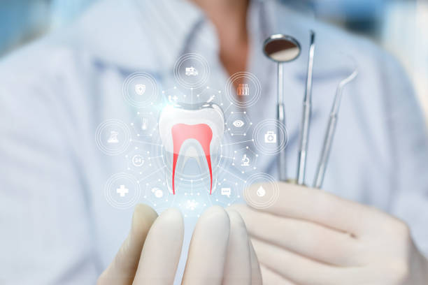 Professional  Holistic Dental Services in Rockledge, FL